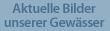 Aktuelle Bilder unserer Gew�sser